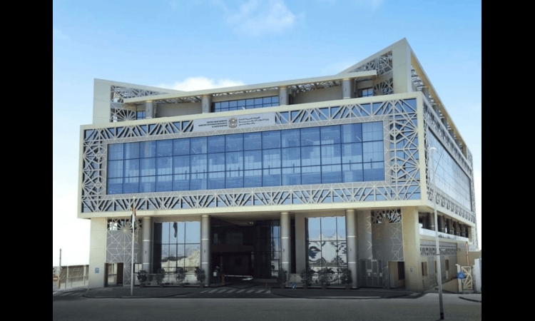 UAE Work Permits: 13 Types and Who Can Apply